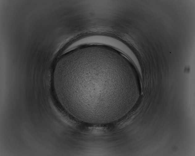 X0000091480448200708301918