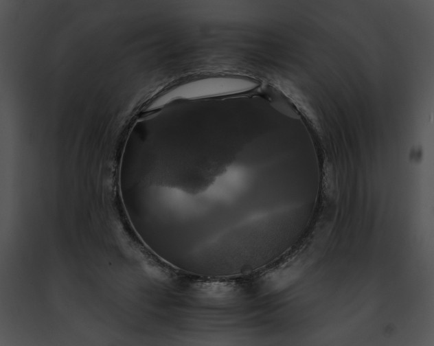 X0000091480449200708301918