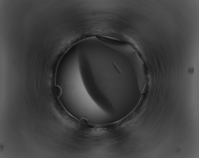 X0000091480451200708301918