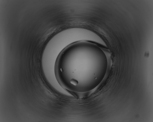 X0000091480452200708301918