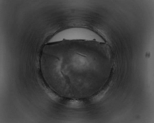 X0000091480453200708301918