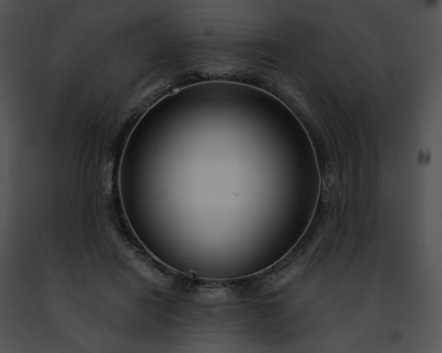 X0000091480454200708301918