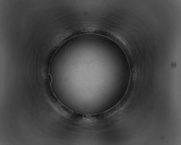 X0000091480455200708301918