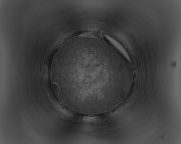 X0000091480457200708301918