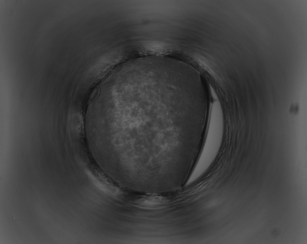 X0000091480459200708301918