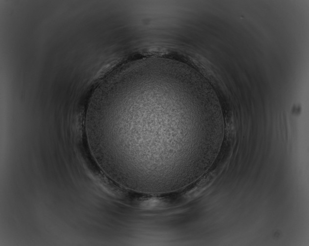 X0000091480460200708301918