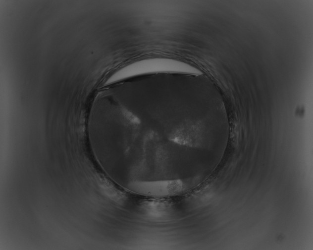 X0000091480466200708301918