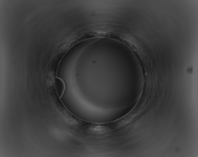 X0000091480467200708301918