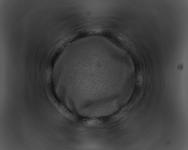 X0000091480468200708301918