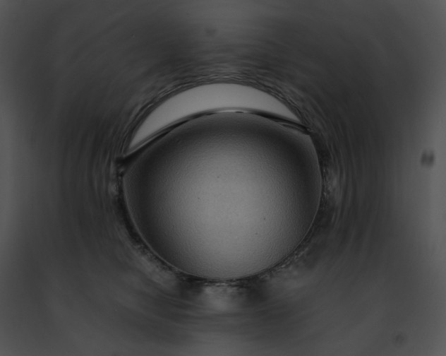 X0000091480470200708301918