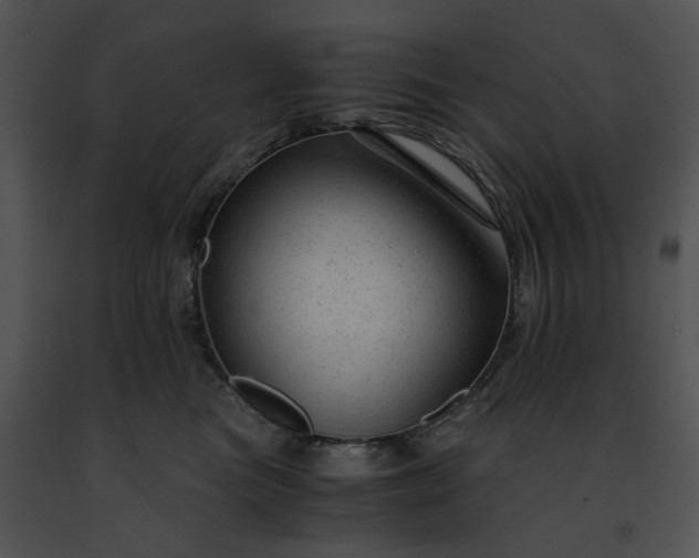 X0000091480473200708301918