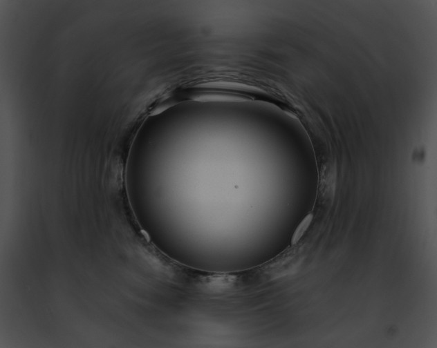 X0000091480474200708301918