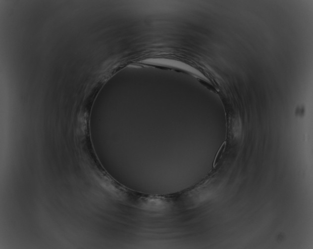 X0000091480475200708301918