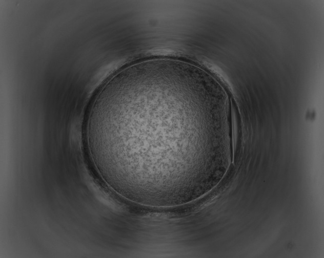 X0000091480482200708301917