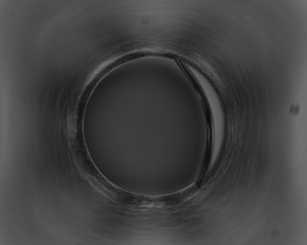 X0000091480484200708301917