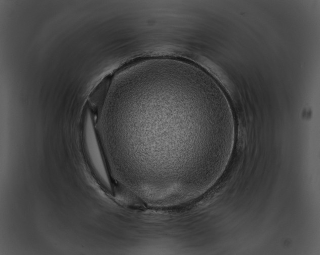 X0000091480485200708301917