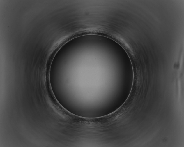 X0000091480486200708301917