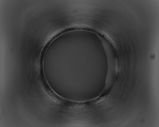 X0000091480488200708301917