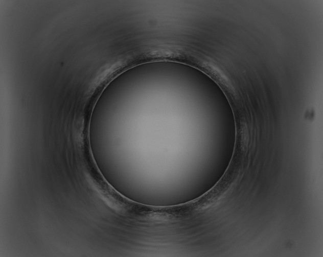 X0000091480490200708301917