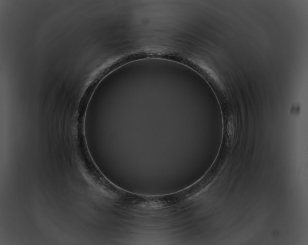 X0000091480492200708301917