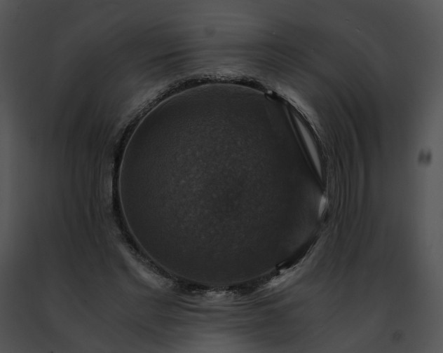 X0000091480493200708301917