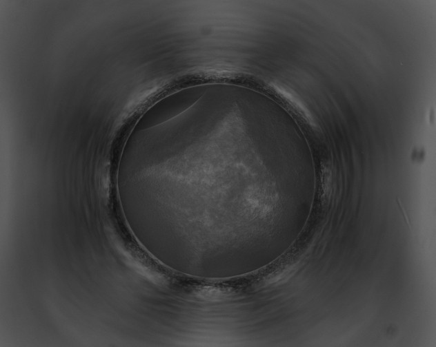 X0000091480494200708301917