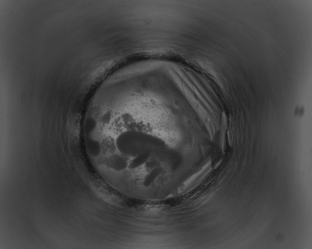 X0000091480495200708301917