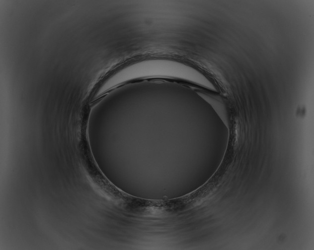 X0000091480496200708301917