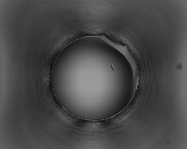 X0000091480497200708301917