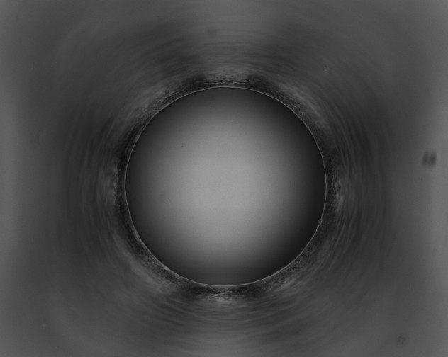 X0000091480498200708301917