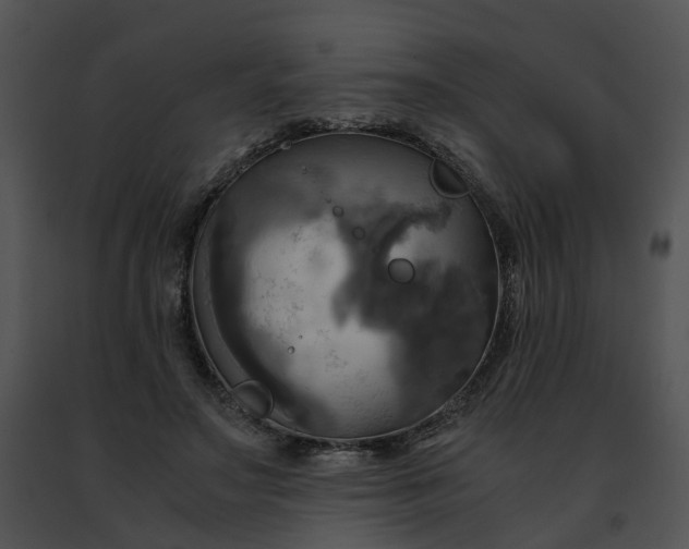 X0000091480499200708301917