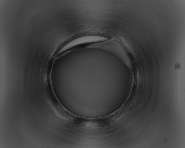 X0000091480500200708301917