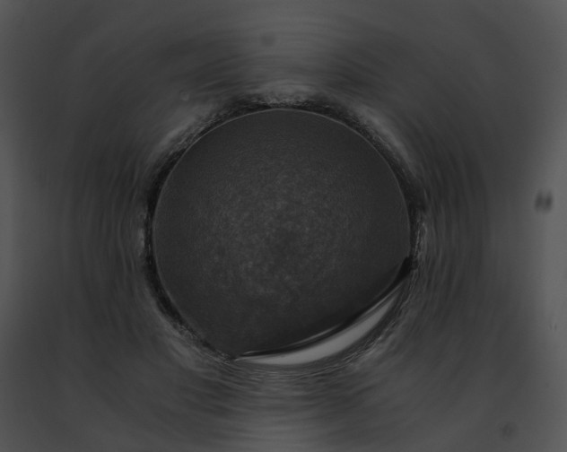 X0000091480501200708301917