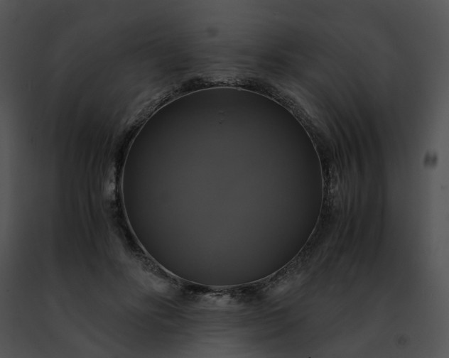 X0000091480502200708301917