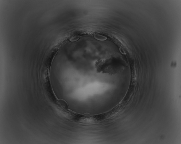 X0000091480503200708301917