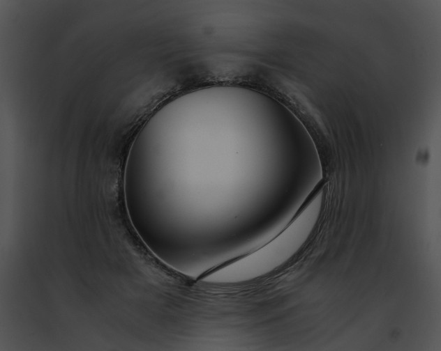 X0000091480505200708301917