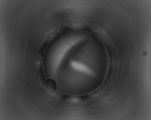 X0000091480507200708301917