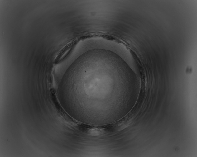 X0000091480508200708301917