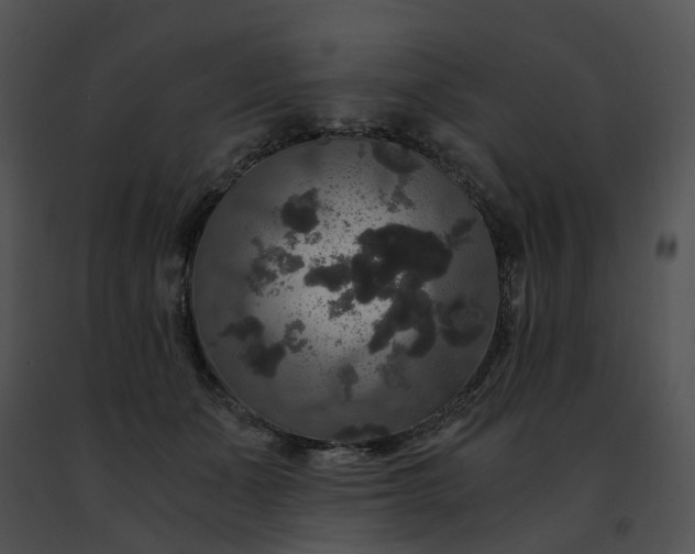 X0000091480511200708301917