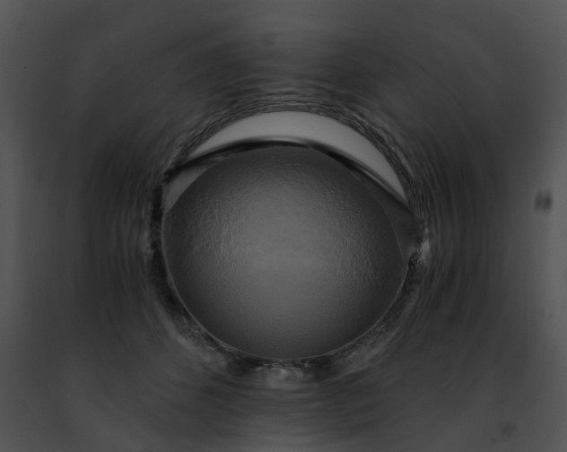 X0000091480512200708301917