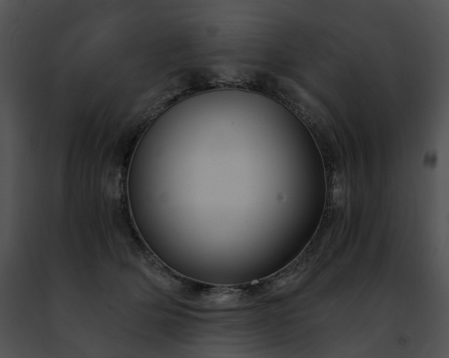 X0000091480514200708301917