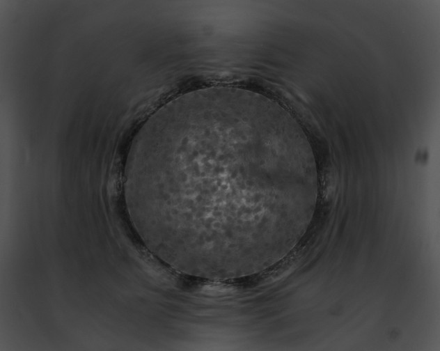 X0000091480515200708301917