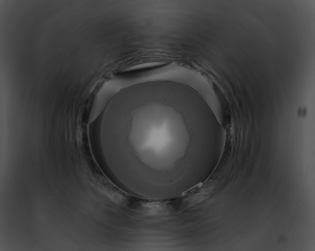 X0000091480516200708301917