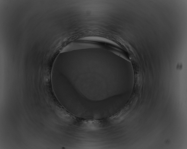 X0000091480517200708301917