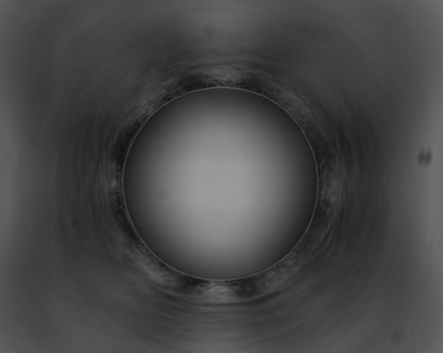 X0000091480518200708301917