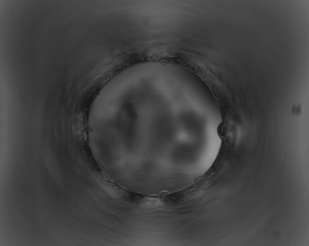 X0000091480519200708301917