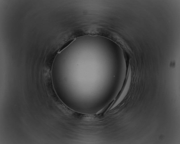 X0000091480521200708301917