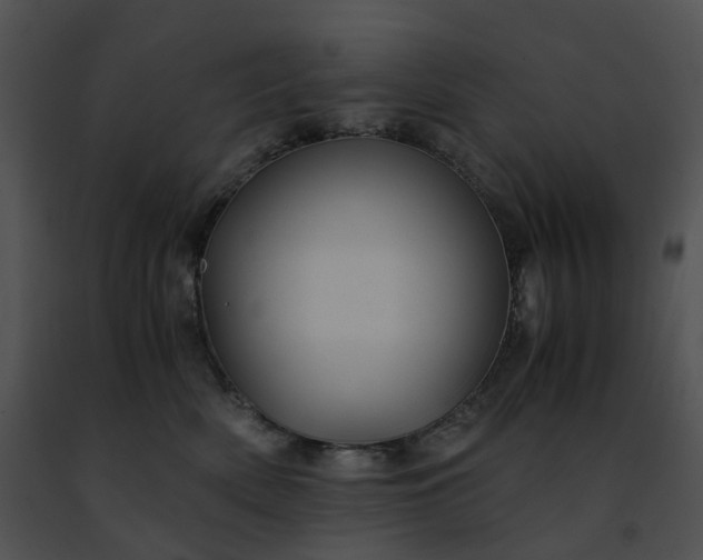 X0000091480522200708301917