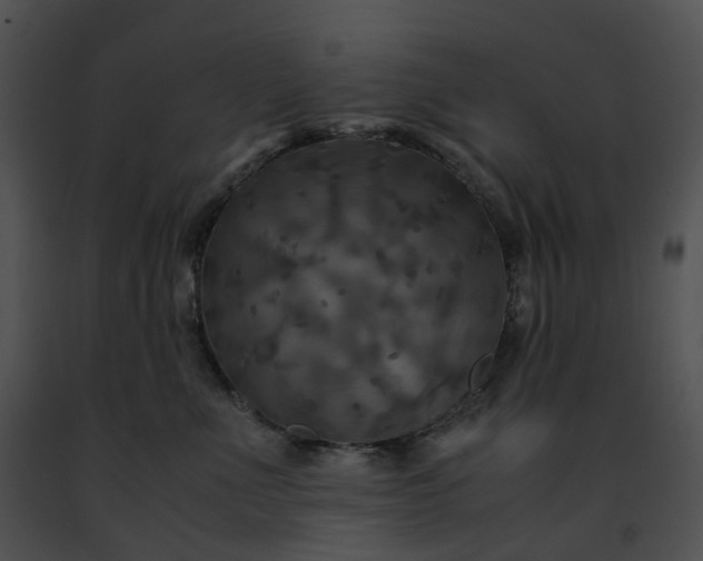 X0000091480523200708301917