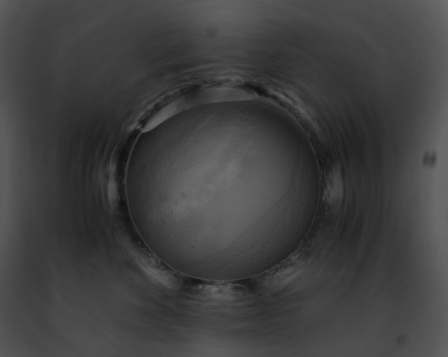 X0000091480524200708301917